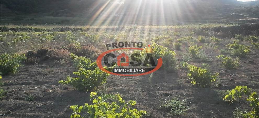 Foto annuncio
