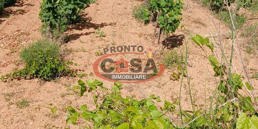 Foto annuncio